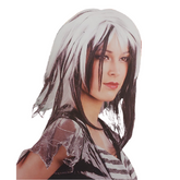 csv_image script ontwerp_zonder_titel_-_2024-02-23t101714.900.png